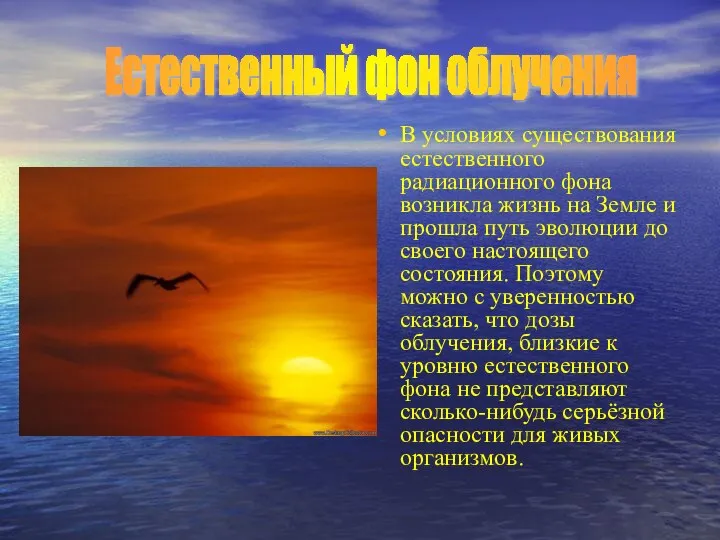 В условиях существования естественного радиационного фона возникла жизнь на Земле и