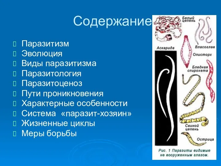 Содержание Паразитизм Эволюция Виды паразитизма Паразитология Паразитоценоз Пути проникновения Характерные особенности