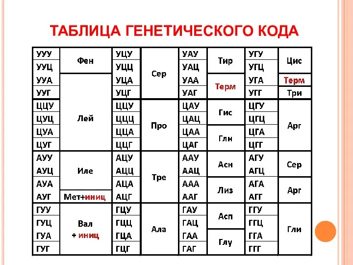 ТАБЛИЦА ГЕНЕТИЧЕСКОГО КОДА