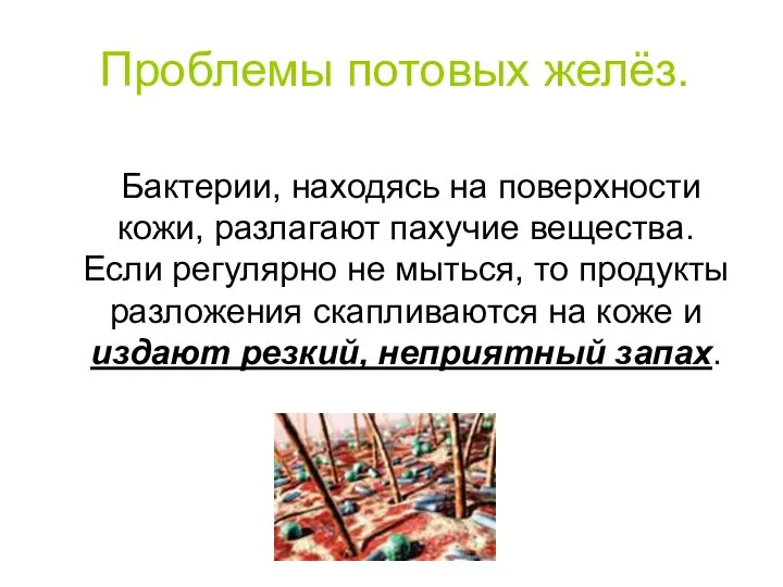 Проблемы потовых желёз. Бактерии, находясь на поверхности кожи, разлагают пахучие вещества.