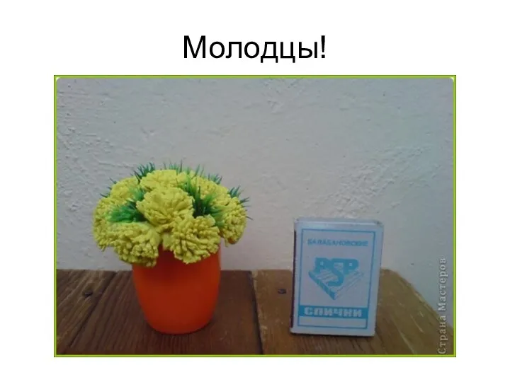 Молодцы!