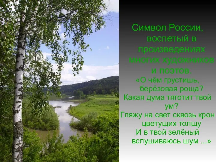 Символ России, воспетый в произведениях многих художников и поэтов. «О чём