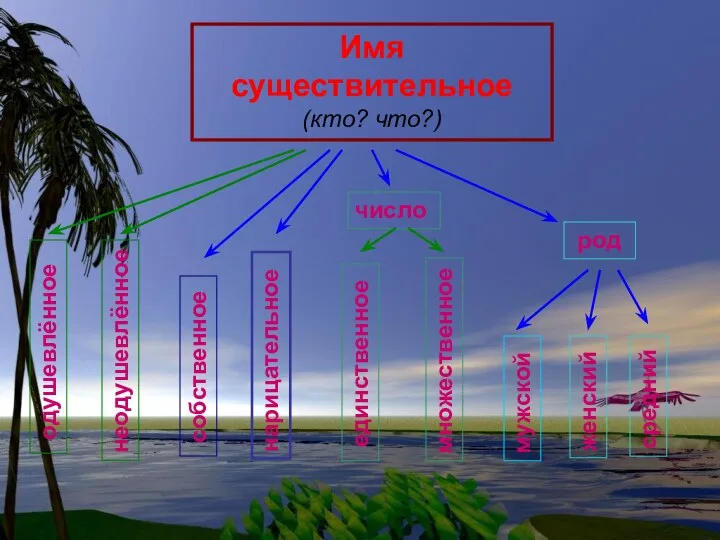 Имя существительное (кто? что?) одушевлённое неодушевлённое собственное нарицательное число единственное множественное мужской женский средний род