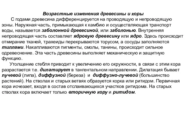 Возрастные изменения древесины и коры С годами древесина дифференцируется на проводящую