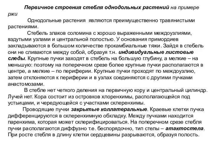 Первичное строения стебля однодольных растений на примере ржи Однодольные растения являются