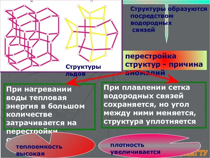 перестройка структур - причина аномалий Структуры образуются посредством водородных связей Структуры