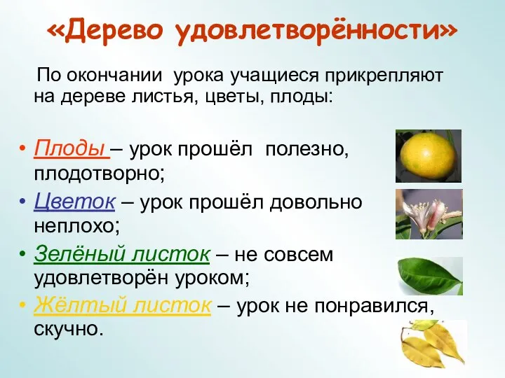 «Дерево удовлетворённости» По окончании урока учащиеся прикрепляют на дереве листья, цветы,