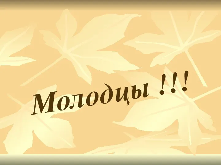 Молодцы !!!