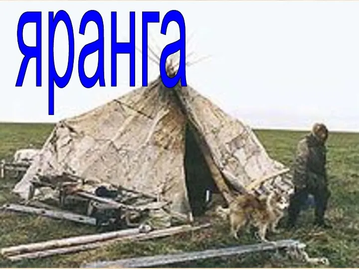 яранга