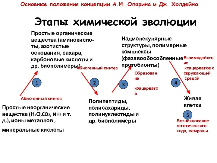 Этапы химической эволюции Простые неорганические вещества (Н2О,CO2, NH3 и т.д.), ионы