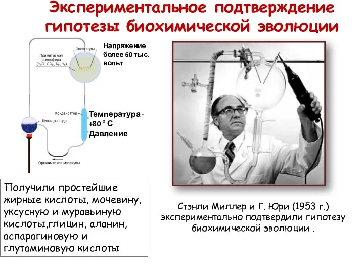 Экспериментальное подтверждение гипотезы биохимической эволюции Стэнли Миллер и Г. Юри (1953