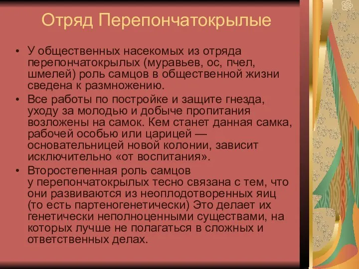 Отряд Перепончатокрылые У общественных насекомых из отряда перепончатокрылых (муравьев, ос, пчел,