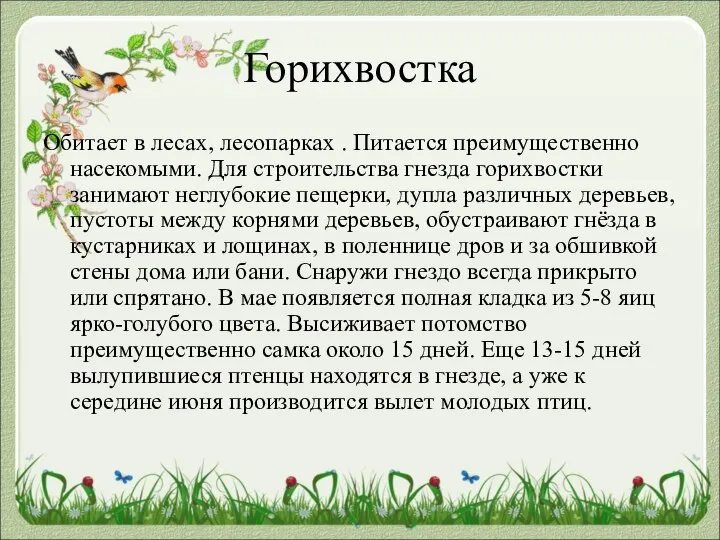 Горихвостка Обитает в лесах, лесопарках . Питается преимущественно насекомыми. Для строительства