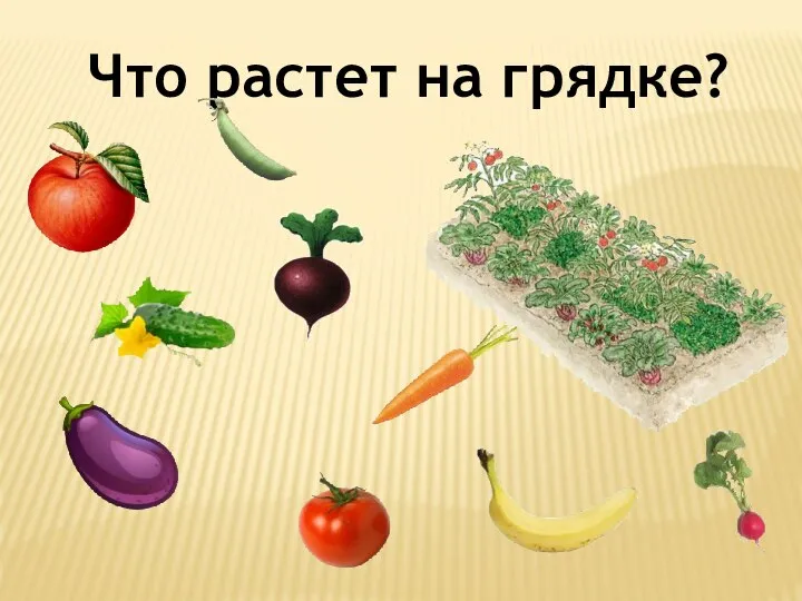 Что растет на грядке?