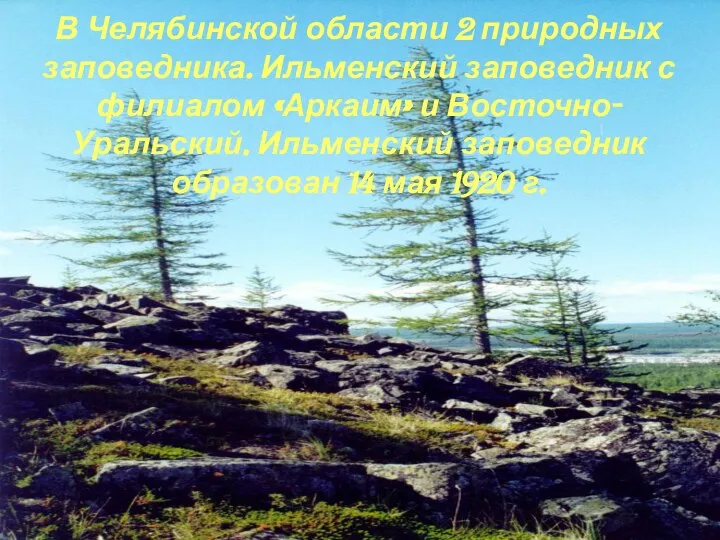 В Челябинской области 2 природных заповедника. Ильменский заповедник с филиалом «Аркаим»