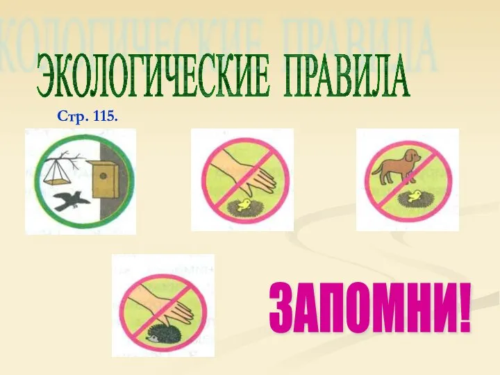 ЭКОЛОГИЧЕСКИЕ ПРАВИЛА ЗАПОМНИ! Стр. 115.