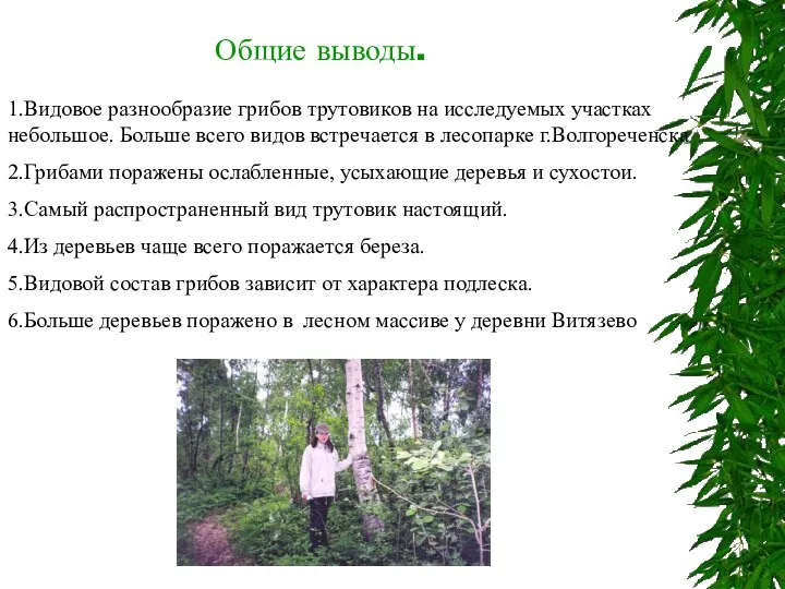 Общие выводы. 1.Видовое разнообразие грибов трутовиков на исследуемых участках небольшое. Больше