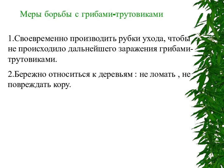 Меры борьбы с грибами-трутовиками 1.Своевременно производить рубки ухода, чтобы не происходило