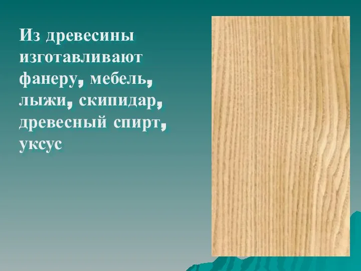 Из древесины изготавливают фанеру, мебель, лыжи, скипидар, древесный спирт, уксус