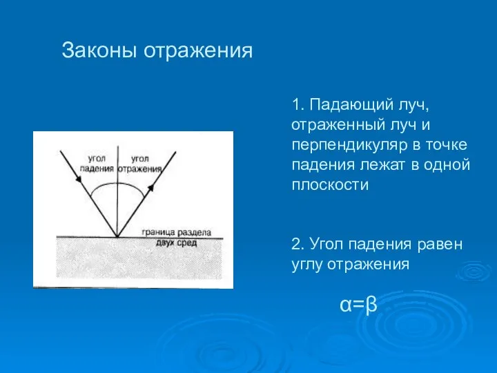 1. Падающий луч, отраженный луч и перпендикуляр в точке падения лежат