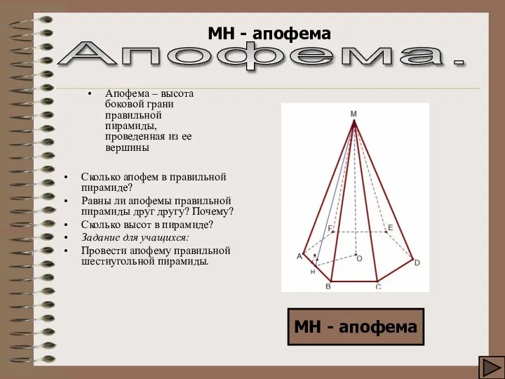 Апофема. МН - апофема МН - апофема Апофема – высота боковой