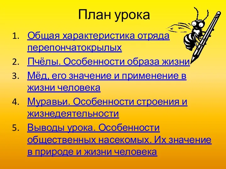 План урока Общая характеристика отряда перепончатокрылых Пчёлы. Особенности образа жизни Мёд,