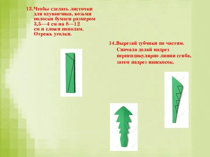 13.Чтобы сделать листочки для одуванчика, возьми полоски бумаги размером 3,5—4 см