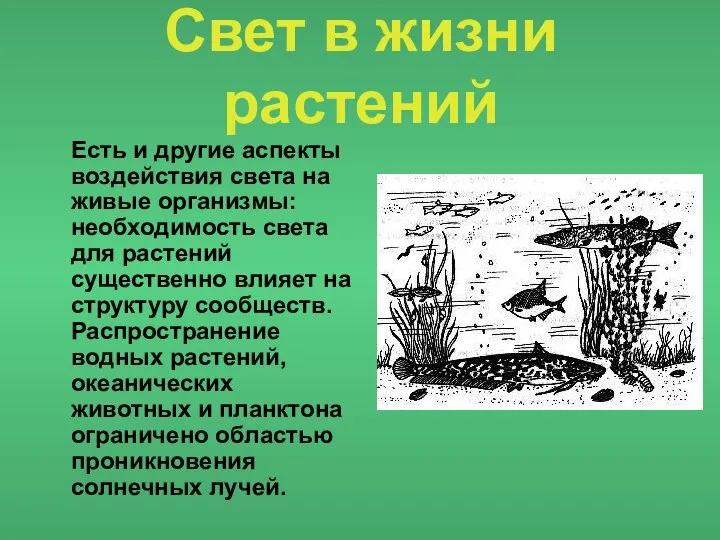 Свет в жизни растений Есть и другие аспекты воздействия света на