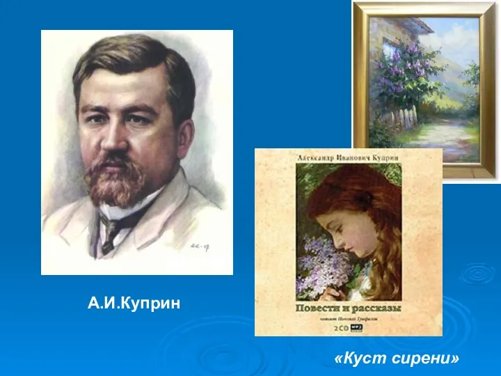 А.И.Куприн «Куст сирени»