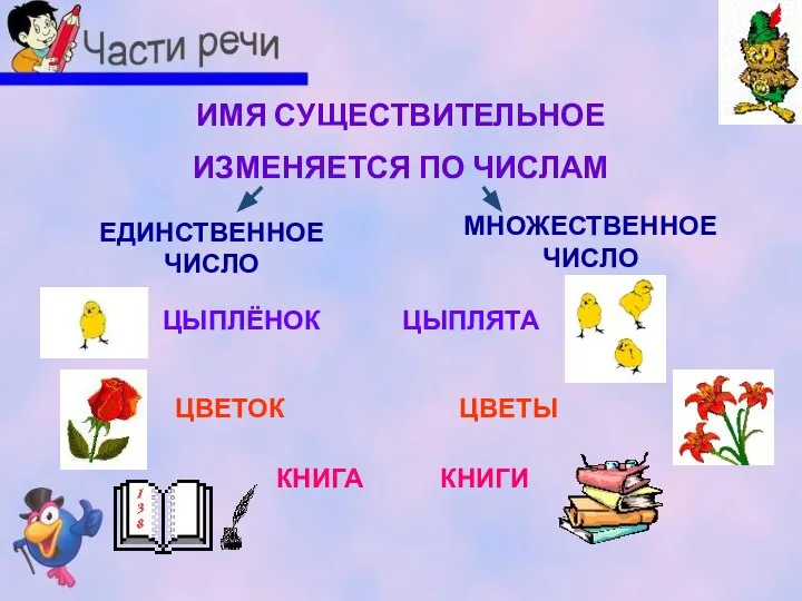 ИМЯ СУЩЕСТВИТЕЛЬНОЕ ИЗМЕНЯЕТСЯ ПО ЧИСЛАМ ЕДИНСТВЕННОЕ ЧИСЛО МНОЖЕСТВЕННОЕ ЧИСЛО ЦЫПЛЁНОК ЦВЕТОК КНИГА ЦЫПЛЯТА ЦВЕТЫ КНИГИ