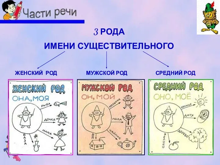 3 РОДА ИМЕНИ СУЩЕСТВИТЕЛЬНОГО ЖЕНСКИЙ РОД МУЖСКОЙ РОД СРЕДНИЙ РОД