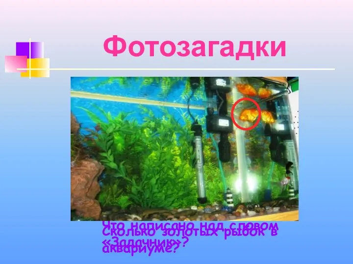 Фотозагадки Что написано над словом «Задачник»? Сколько золотых рыбок в аквариуме?