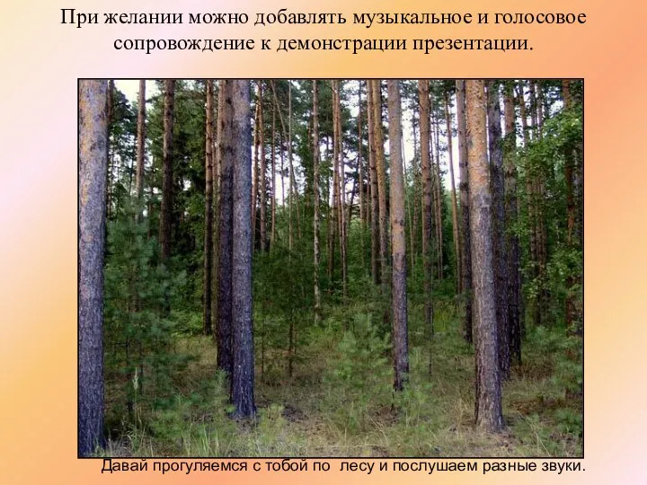 Давай прогуляемся с тобой по лесу и послушаем разные звуки. При