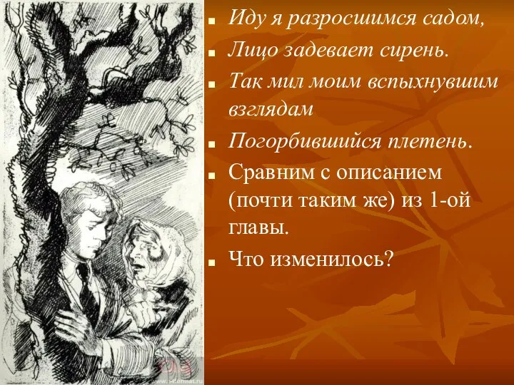 Иду я разросшимся садом, Лицо задевает сирень. Так мил моим вспыхнувшим