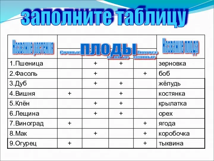 заполните таблицу Название растения Название плода Сочные Сухие Односе Многосе мянные мянные плоды