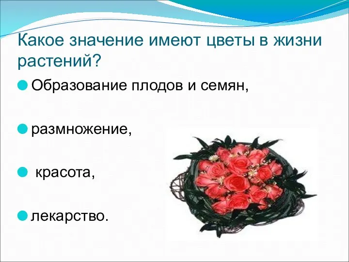 Какое значение имеют цветы в жизни растений? Образование плодов и семян, размножение, красота, лекарство.