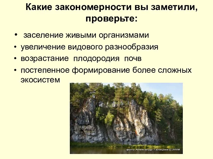 Какие закономерности вы заметили, проверьте: заселение живыми организмами увеличение видового разнообразия