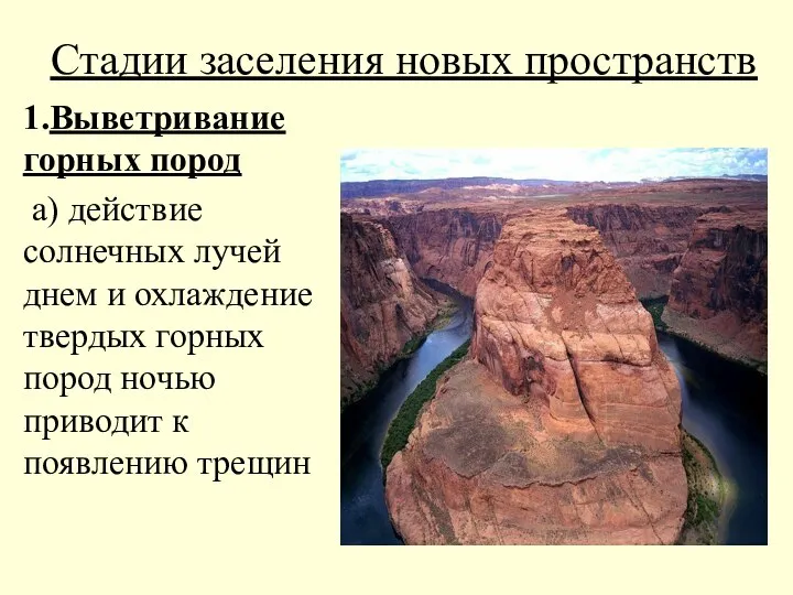 Стадии заселения новых пространств 1.Выветривание горных пород а) действие солнечных лучей