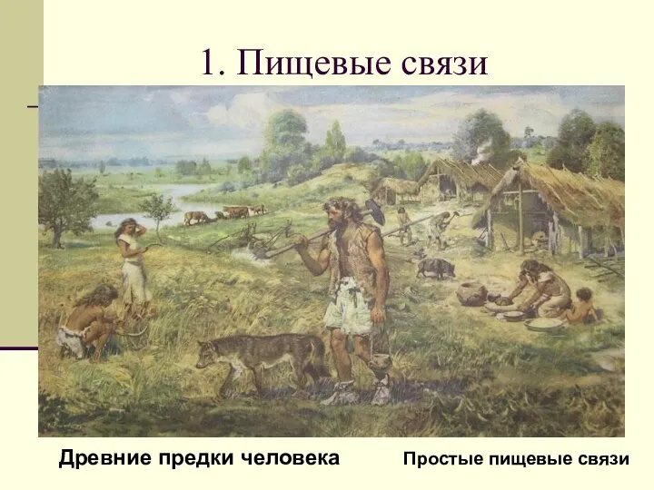 1. Пищевые связи Физиологическая норма человека – 2500 ккал в сутки