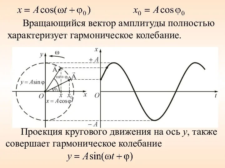 Вращающийся вектор амплитуды полностью характеризует гармоническое колебание. Проекция кругового движения на