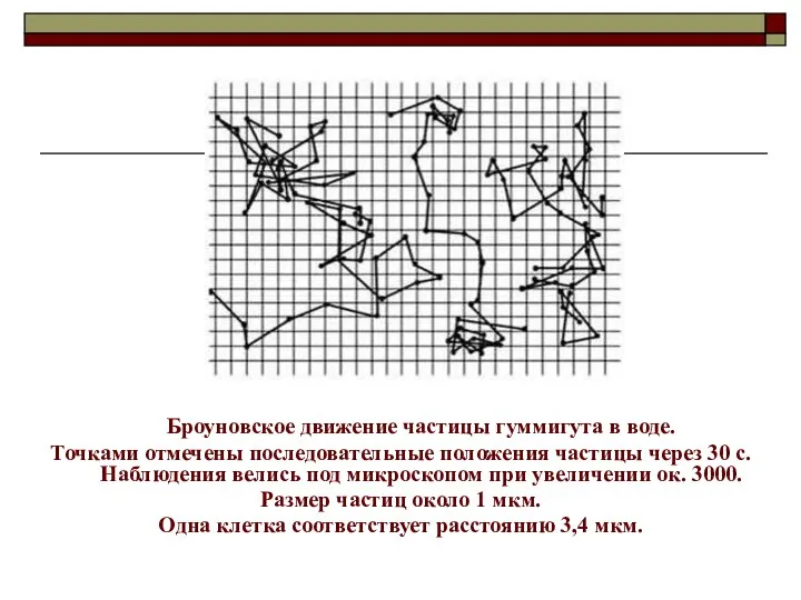 Броуновское движение частицы гуммигута в воде. Точками отмечены последовательные положения частицы