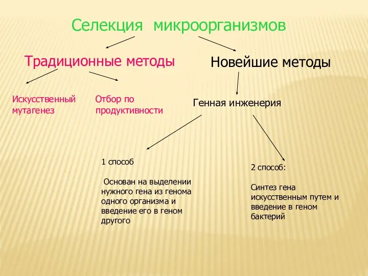 Селекция микроорганизмов Традиционные методы Новейшие методы Искусственный мутагенез Отбор по продуктивности