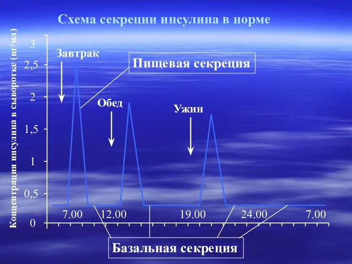 Схема секреции инсулина в норме Концентрация инсулина в сыворотке (нг/мл)