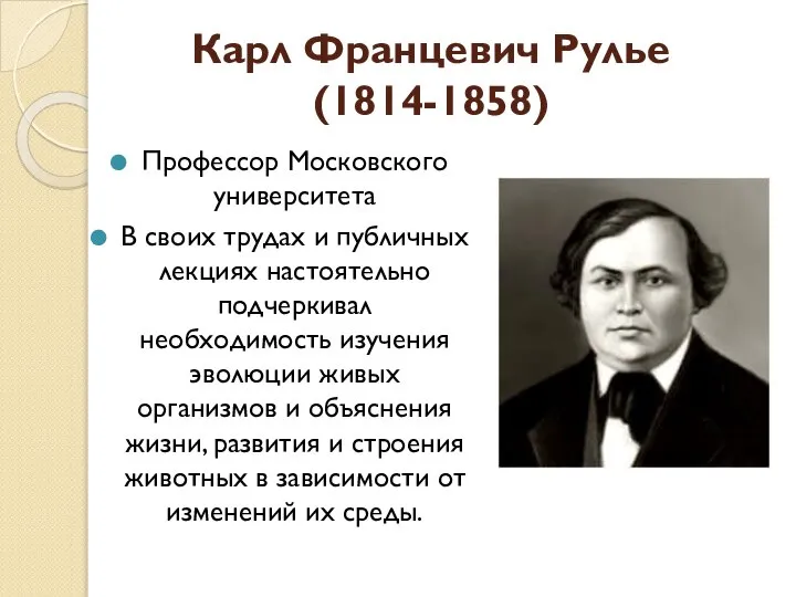 Карл Францевич Рулье (1814-1858) Профессор Московского университета В своих трудах и