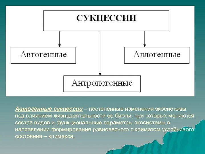 Автогенные сукцессии – постепенные изменения экосистемы под влиянием жизнедеятельности ее биоты,