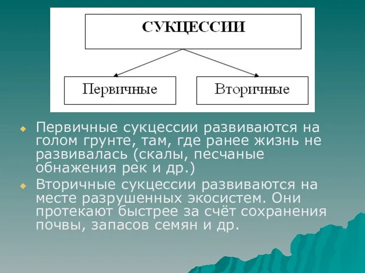 Первичные сукцессии развиваются на голом грунте, там, где ранее жизнь не