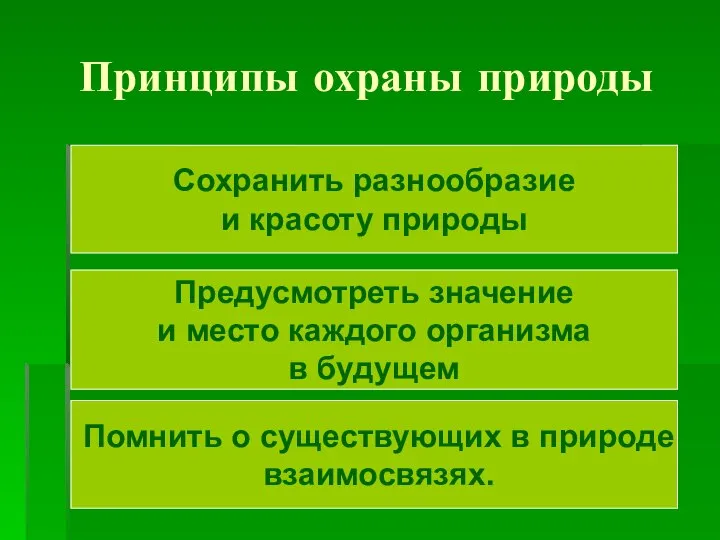 Принципы охраны природы Сохранить разнообразие и красоту природы Предусмотреть значение и