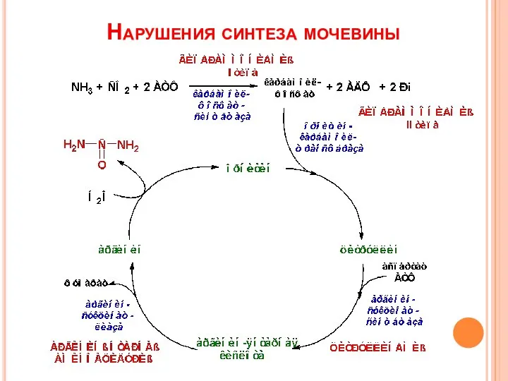 Нарушения синтеза мочевины