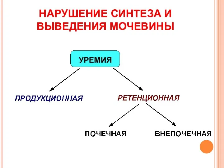 НАРУШЕНИЕ СИНТЕЗА И ВЫВЕДЕНИЯ МОЧЕВИНЫ