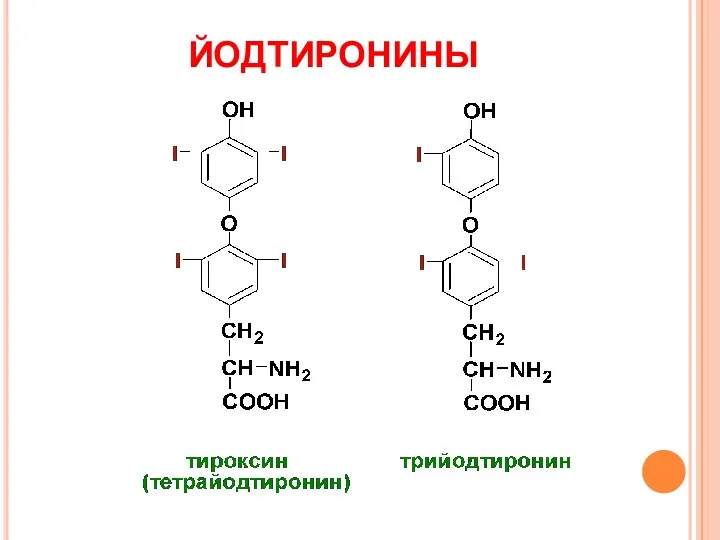 ЙОДТИРОНИНЫ